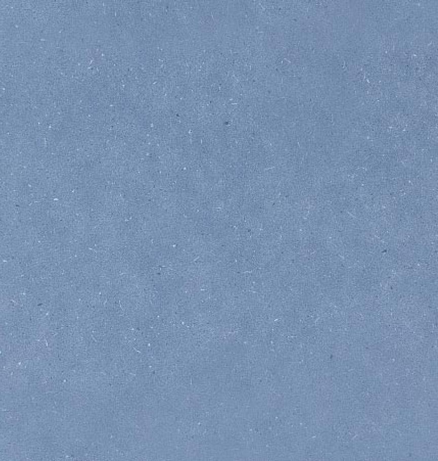 Detail_PLR014C_Summer_Sky--ID_684_medium