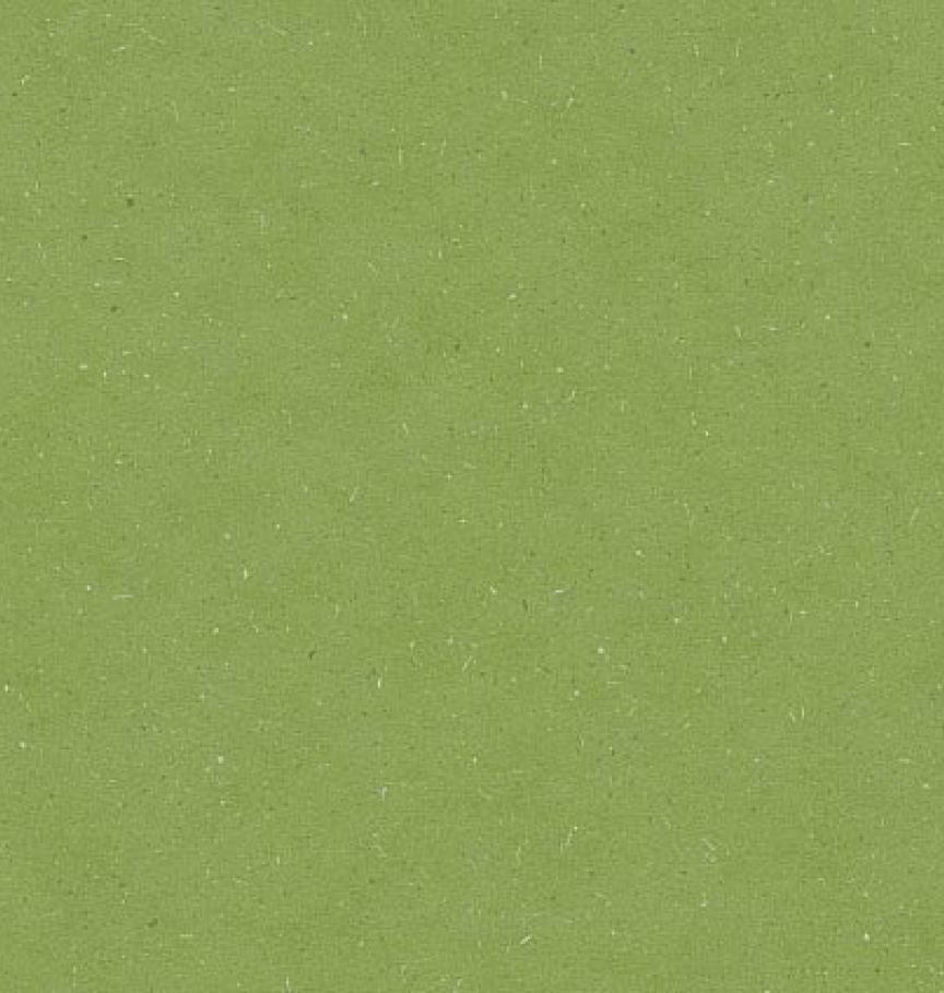 Detail_PLR380C_Aloe_Green--ID_1794_medium