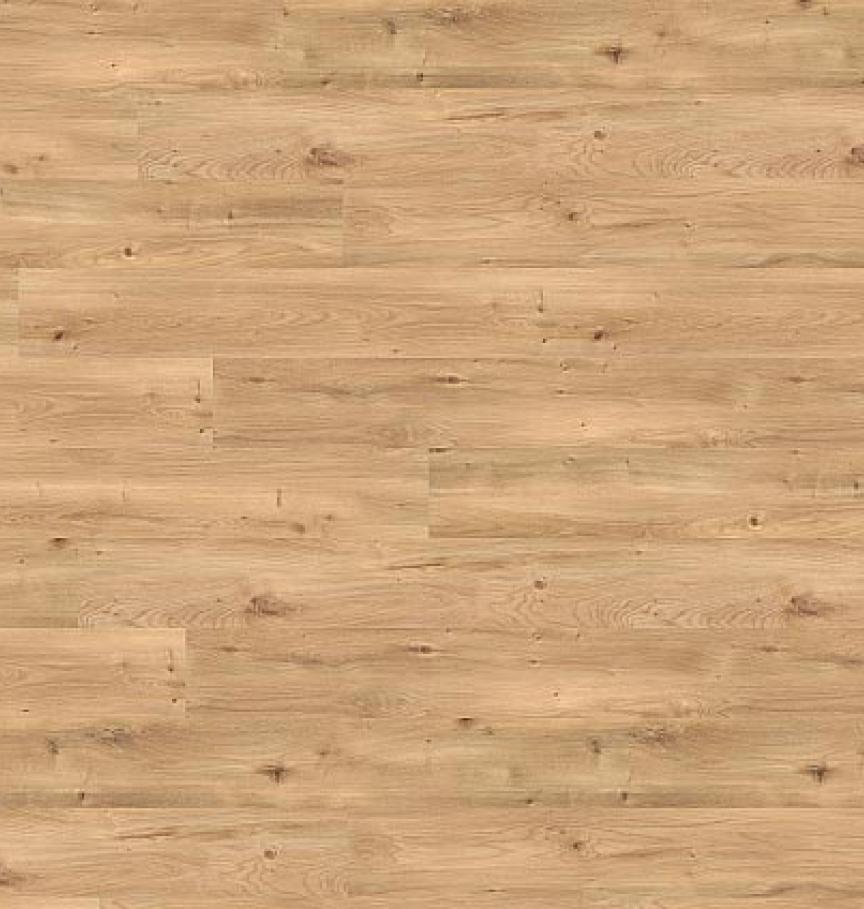 Draufsicht_PL15206WXL_Intensive_Oak_Amber--ID_2345_medium