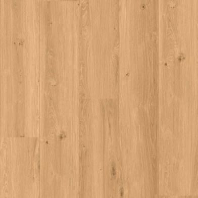 50-LVREXL-4358_Coretec_XL-END_Chambord_1