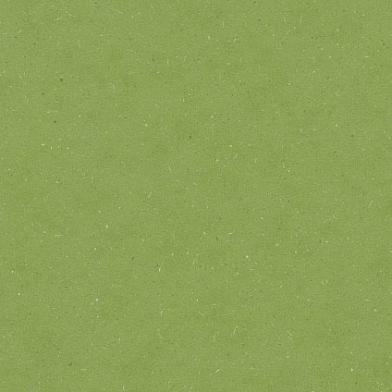 Detail_PLR380C_Aloe_Green--ID_1794_medium