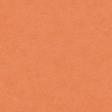 Detail_PLR386C_Tropical_Orange--ID_1789_medium