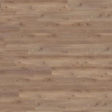 Draufsicht_PL15215WXL_Ravenna_Oak_Nature--ID_2352_medium