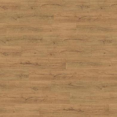 Draufsicht_PL15216WXL_Real_Oak_Amber--ID_2358_medium