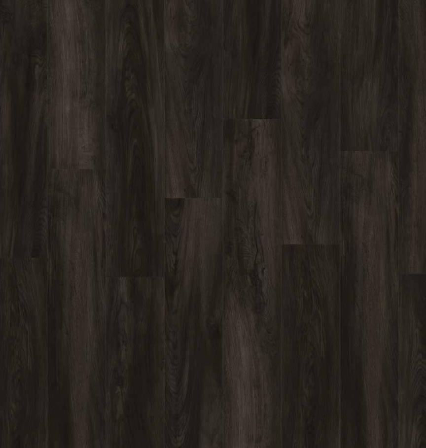55CHAN82991 - Chêne Anthracite