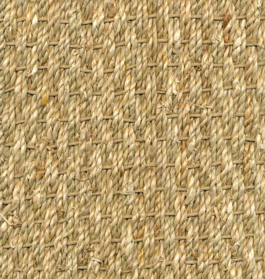 Seagrass Normal - SS20401